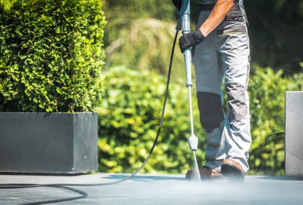 Best Animal Enclosure Cleaning  in Macarthur, WV